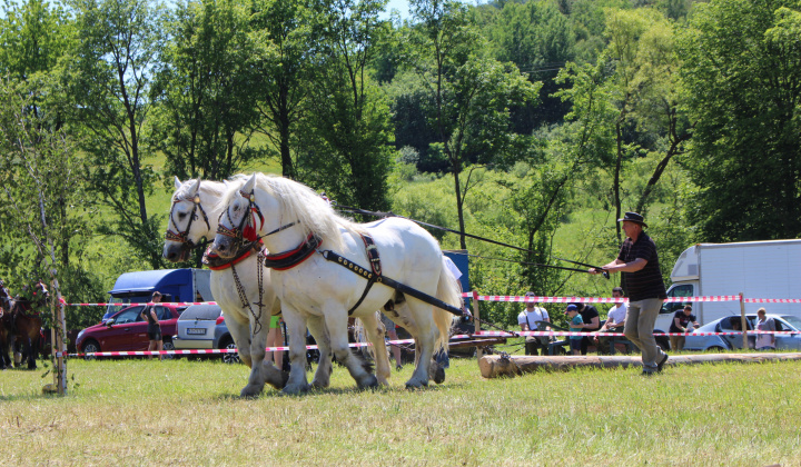 1. fotografia fotogalérie Furmanské preteky – 2017