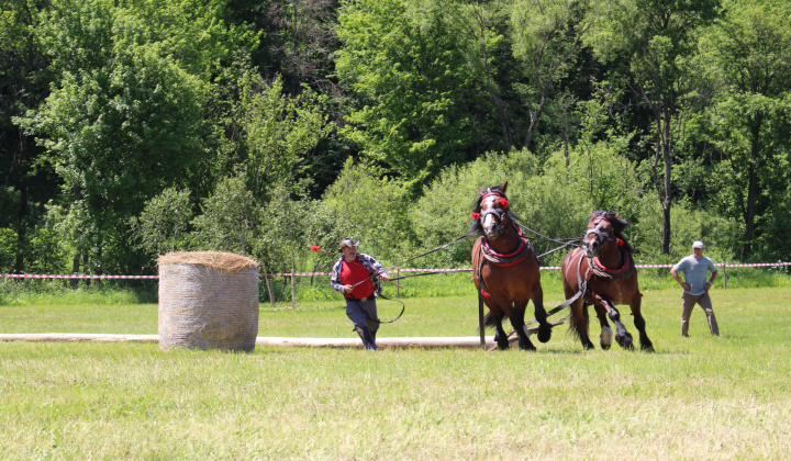 4. fotografia fotogalérie Furmanské preteky – 2017