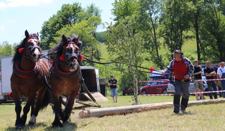 6. fotografia fotogalérie Furmanské preteky – 2017