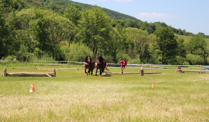 11. fotografia fotogalérie Furmanské preteky – 2017