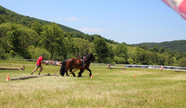 12. fotografia fotogalérie Furmanské preteky – 2017