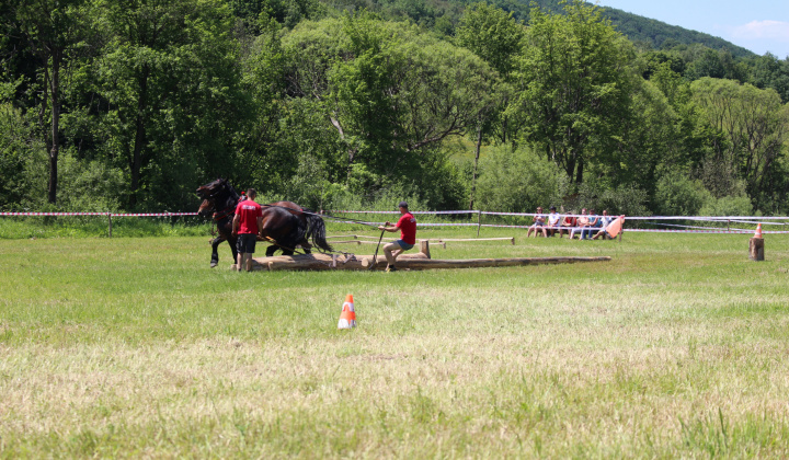 13. fotografia fotogalérie Furmanské preteky – 2017