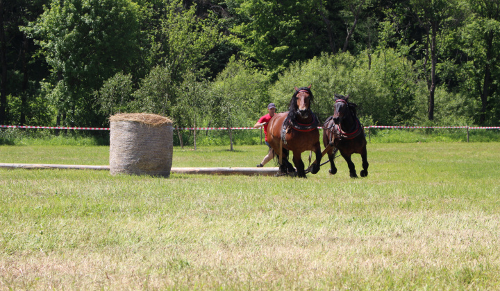 14. fotografia fotogalérie Furmanské preteky – 2017