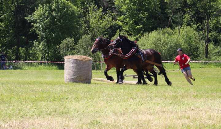 16. fotografia fotogalérie Furmanské preteky – 2017