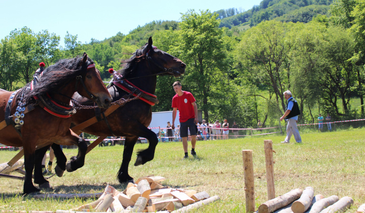 18. fotografia fotogalérie Furmanské preteky – 2017