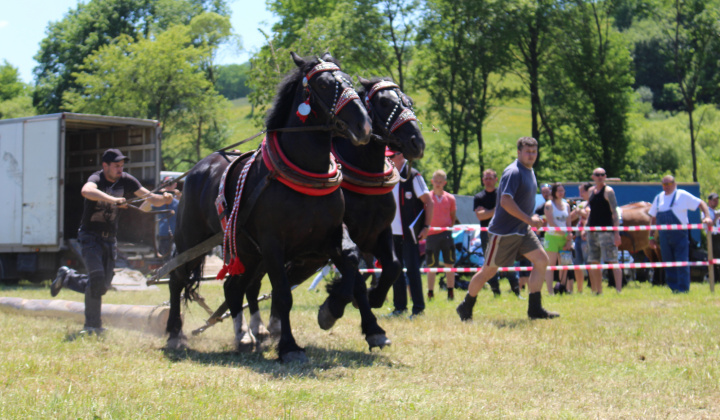21. fotografia fotogalérie Furmanské preteky – 2017