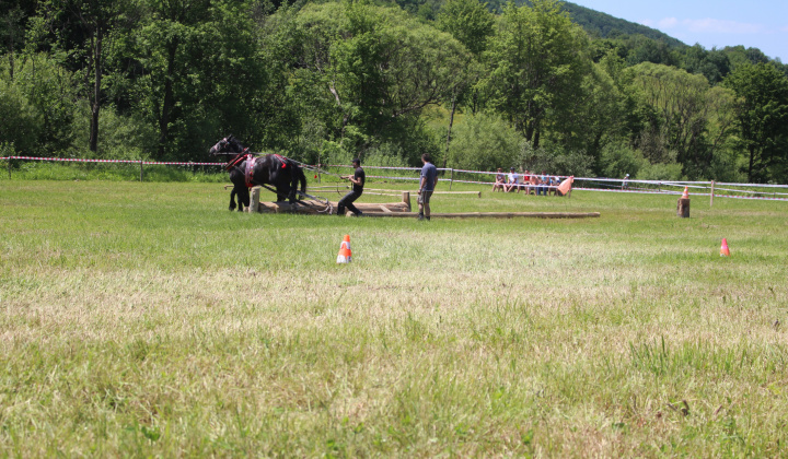 23. fotografia fotogalérie Furmanské preteky – 2017
