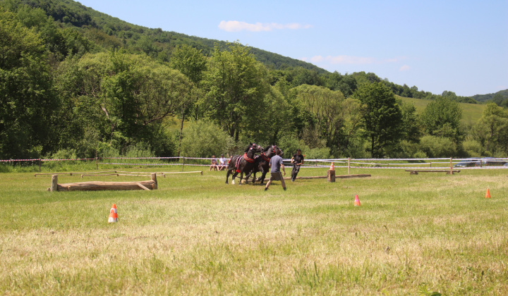 24. fotografia fotogalérie Furmanské preteky – 2017